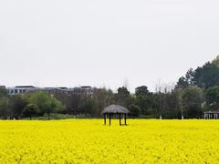 -径山花海