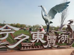 -天津东丽湖风景区