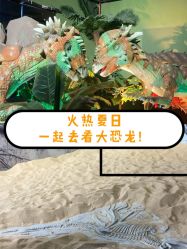 -恐龙探索乐园(磁器口店)