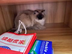 -M.S拳击泰拳馆(大学路店)
