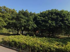 -南沙蒲洲花园