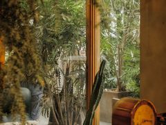 -时光花园(白鹭洲店)