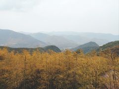 -莫干山风景区