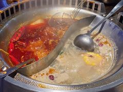 -辣伍鲜毛肚老火锅(元一店)