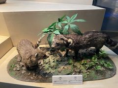 -武汉园博园(武汉自然博物馆)
