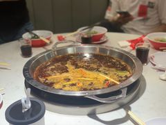 -蜀滋香鲜鱼美蛙火锅(339店)