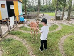 -上海长兴岛郊野公园