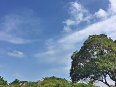 -龙头岩(Dragon Head Rock)