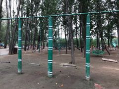 -东方巨龟苑景区