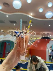 -奈尔宝家庭中心·亲子餐厅(苏州大悦城店)