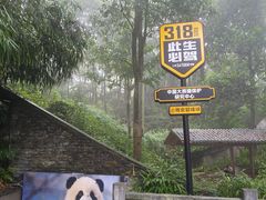 -中国大熊猫保护研究中心雅安碧峰峡基地