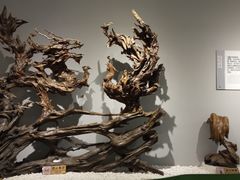 -吉林市博物馆