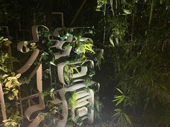 -梧桐