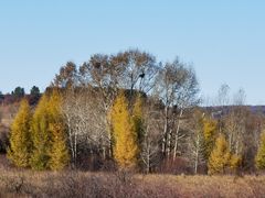-塞罕坝国家级自然保护区