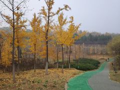 -青龙湖公园