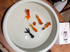 -花城苑广府菜(侨鑫店)