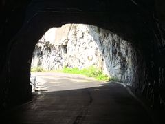 -王莽岭风景区