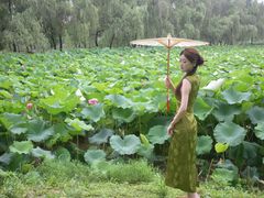-洋湖国家湿地公园