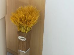 -康美贞·痘肌养护管理中心