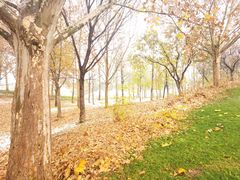 -万柳高尔夫俱乐部