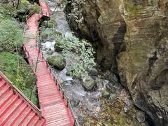 -牛背梁国家森林公园