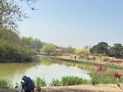 -塘沽森林公园
