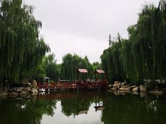 -唐城墙遗址公园
