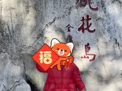 -金鸡湖桃花岛