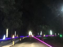 -枫花园汽车电影院(朝阳公园店)