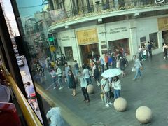 -BUS TOUR观光巴士
