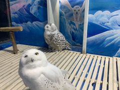 -成都浩海立方海洋公园