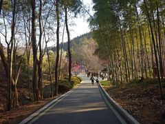 -冶父山国家森林公园