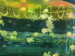 -广州海洋馆
