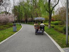 -昆山城市生态森林公园