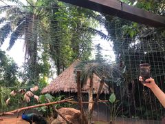 -海南热带野生动植物园