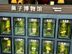 -宁波鄞州万达广场