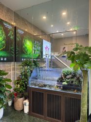 -阅年轻·AI家庭健康体质调理