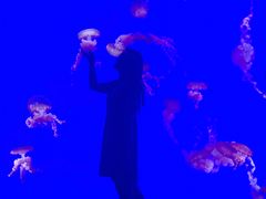 -瑞普利水族馆