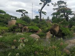 -罗红摄影艺术馆