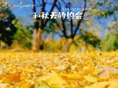 -永定河休闲森林公园