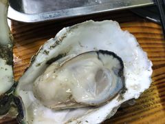 -大富蚝乌东哥饭店·石锅鱼杂·柠檬鸭(革新路店)