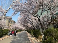 -山东师范大学(千佛山校区)