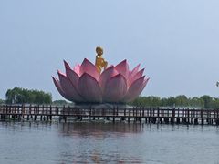 -白洋淀景区
