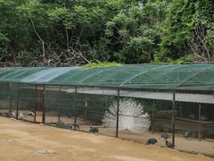-秦皇岛野生动物园