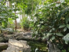 -北京植物园-展览温室