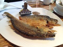 香煎盐渍黄鱼-蝴蝶汇音乐酒馆(罗湖店)
