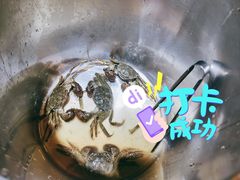 河蟹-川骄海鲜自助(亚运村店)