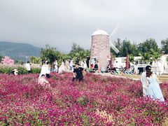 -玫瑰海岸文化旅游度假区