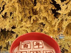 -奇芳阁·百年清真南京菜(夫子庙店)