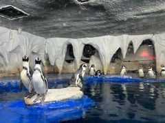 -太平洋海底世界